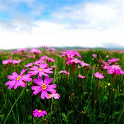 银河国际官网app下载app下载